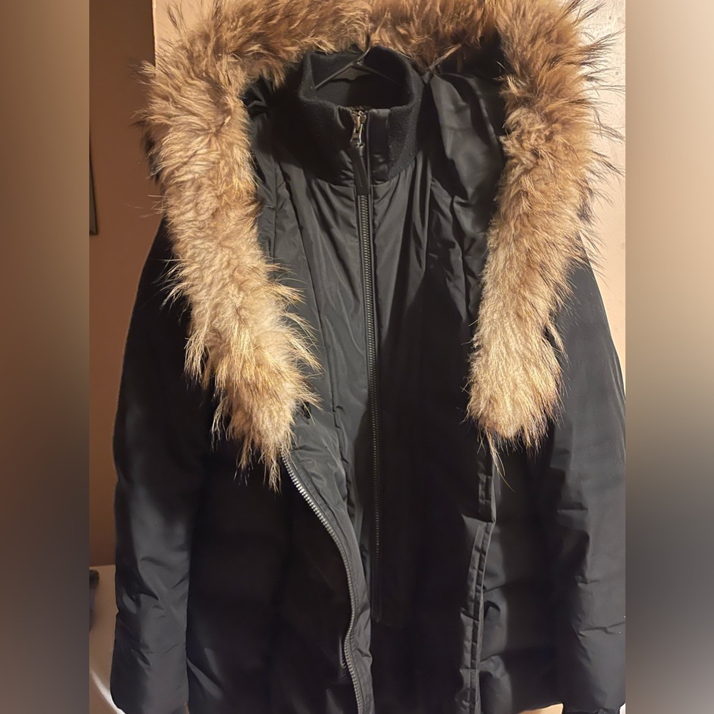Coat in GREAT condition. COAT HAS BEEN DRY CLEANED!